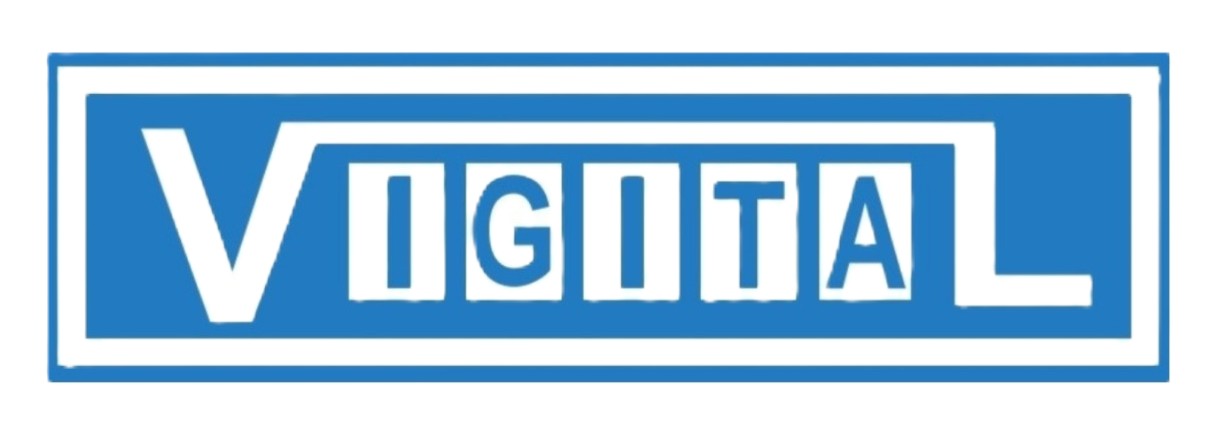 VIGITAL INDIA PVT LTD logo